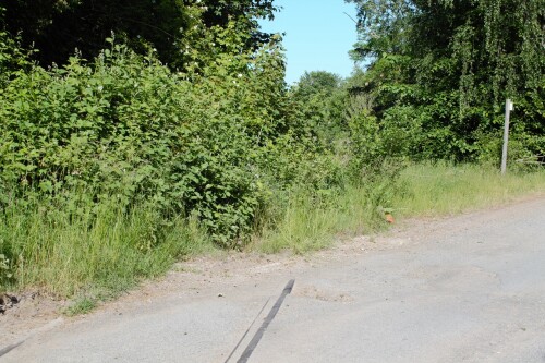 20230603 Blumenau u. Bad Oldesloe c (1)