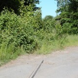 20230603-Blumenau-u.-Bad-Oldesloe-c-1