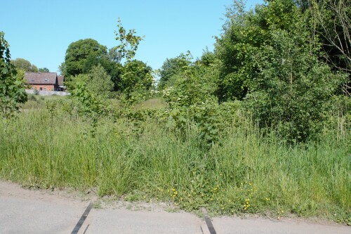 20230603 Blumenau u. Bad Oldesloe c (2)