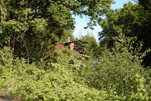 20230603 Blumenau u. Bad Oldesloe f (2)