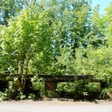 20230603-Blumenau-u.-Bad-Oldesloe-g-1