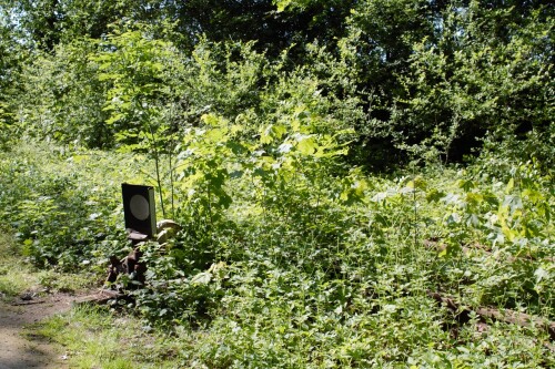 20230603 Blumenau u. Bad Oldesloe g (2)