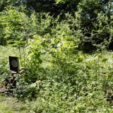 20230603-Blumenau-u.-Bad-Oldesloe-g-2