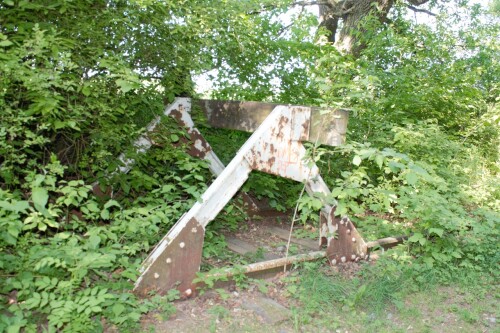 20230603 Blumenau u. Bad Oldesloe g (3)