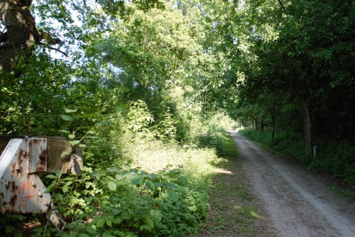 20230603 Blumenau u. Bad Oldesloe g (4)