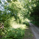 20230603-Blumenau-u.-Bad-Oldesloe-g-4