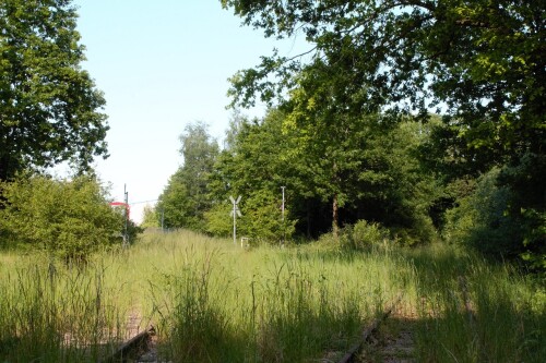 20230603 Blumenau u. Bad Oldesloe h