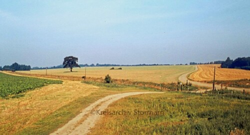 Blumenau Bahnhof Bahnstation 1973 letzer Personenzug Bad Oldesloe Elmshorn EBOE Schienenbus BR 798 (