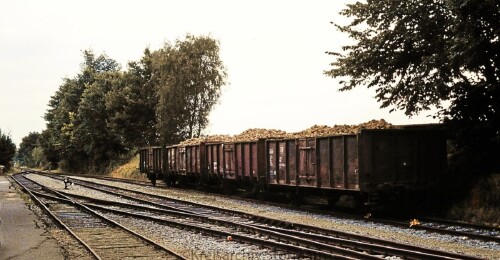 Blumenau Bahnhof Industriegleis 1979 Zuckerrübenzug ernte Bad Oldesloe Elmshorn EBOE