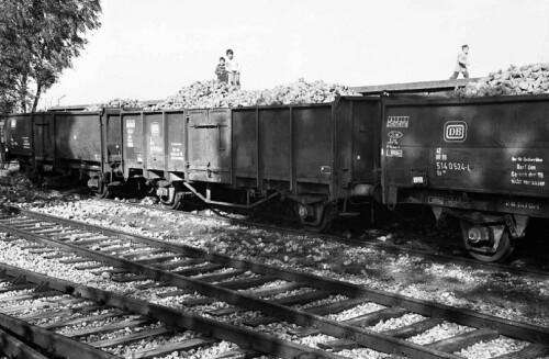 Blumenau Bahnhof Industriegleis 1983 Zuckerrüben Ernte Verladung Bad Oldesloe Elmshorn EBOE (1)