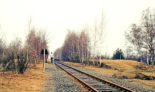 Ehlershausen 1984 Plockhorst