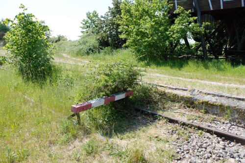 20230605 Hollenbek c (1a)