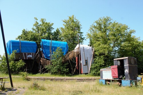 20230605 Hollenbek c (3)