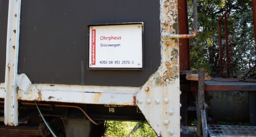 20230605 Hollenbek e (5)