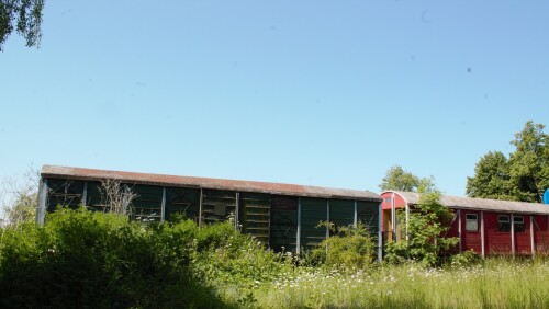 20230605 Hollenbek f