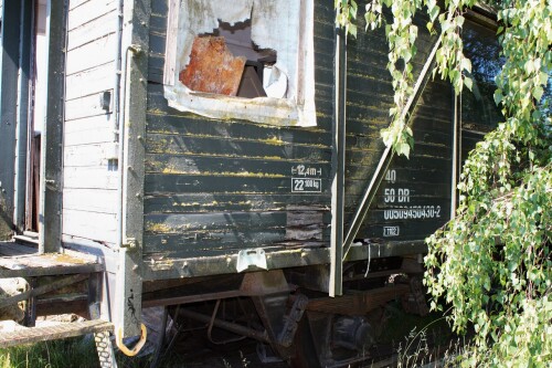 20230605 Hollenbek h (3)