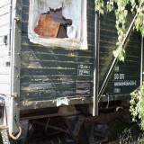 20230605-Hollenbek-h-3