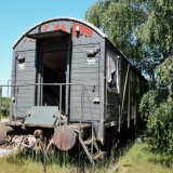 20230605-Hollenbek-h-4