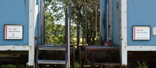 20230605 Hollenbek i (2)