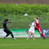 dorf-steyr_0-2_05-10-2024-05