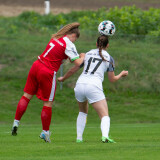 dorf-steyr_0-2_05-10-2024-07