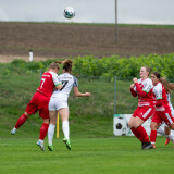 dorf-steyr_0-2_05-10-2024-08