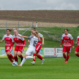 dorf-steyr_0-2_05-10-2024-09