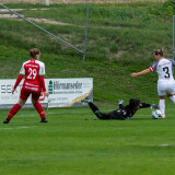 dorf-steyr_0-2_05-10-2024-16