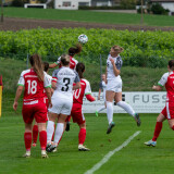 dorf-steyr_0-2_05-10-2024-17