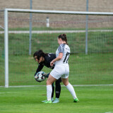 dorf-steyr_0-2_05-10-2024-21