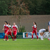 dorf-steyr_0-2_05-10-2024-33