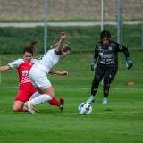 dorf-steyr_0-2_05-10-2024-35