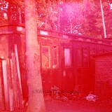 Bahnhof_Trittau_1966_alter_preusischer_Reisezugwagen_als_Hutte_Schuppen