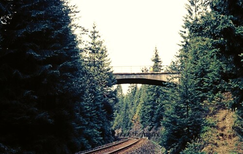 b Altenau Lauthenthal Bahnhof 1976 Langelsheim Oberharz Bahnstrecke Brücke
