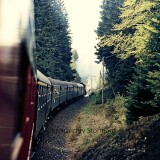 d-BR_044_Sonderfahrt_Oberharz_Altenau_Lauthenthal_Bahnhof_1976_Strecken_Stillllegung-2
