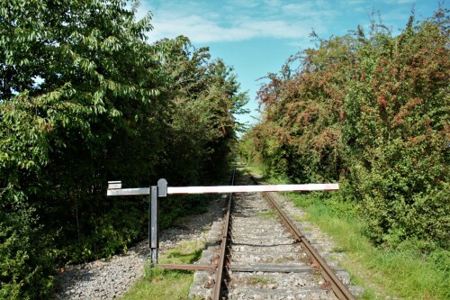 202109_zwischen_Schmilau_Hollenbek (1)