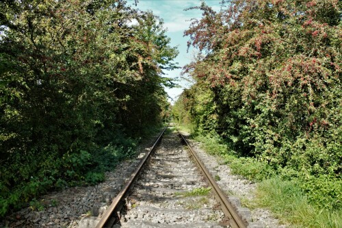 202109_zwischen_Schmilau_Hollenbek (2)