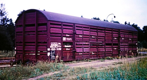 Schweinetransportwaggon 1967 per Bahn Hittfeld Hbf