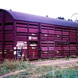 Schweinetransportwaggon_1967_per_Bahn_Hittfeld_Hbf