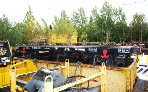 DB_Bagger_Schiene_Schienenbagger_Schwarzenbek_Bahnhof_Tausch_Weichen_Bauzug_2024_Okt_Streckenerneuer