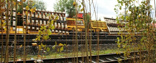 Schwarzenbek_Bahnhof_Tausch_Weichen_Bauzug_2024_Okt_Streckenerneuerung_Zug ea (3)