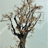 20200616-Baume-baum-h0-1zu87-aus-Naturmeterialien-10