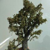 20200616-Baume-baum-h0-1zu87-aus-Naturmeterialien-12