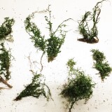 20201010-Mein-Modul-Naturmaterialien-3