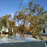 20210907-Baumbau-mit-Naturmaterialien-ab-2