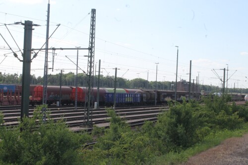 Maschen Gbf Güterbahnhof 2024 Mai (38)