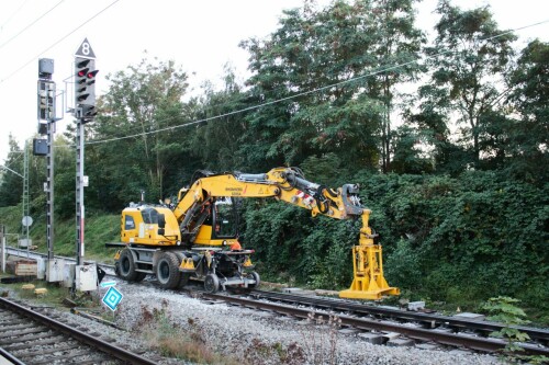 Zwei_Wege_Bagger_Schien_Fahrzeug_Büchen_Bahnhof_Gleisbauarbeiten_Gleis_Umbau_20230916 (13)