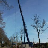 Grove_Schwerlastkran_Teleskopkran_Seeland_Ham_Schwarzenbek_Bahnhof_Modernisierung_2024_Bahnsteigdach-2