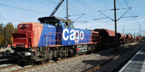 MAK_1700_SBB_Cargo_Schwarzenbek_Bahnhof_Modernisierung_2024_Bahnsteigdach_Bau (6)