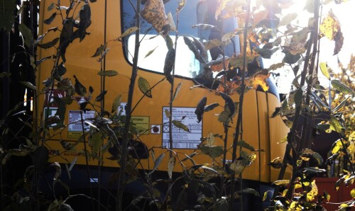 Mercedes_LKW_Zwei_Wege_Fahrzeug_Oberleitung_Montage_Schwarzenbek_Bahnhof_Modernisierung_2024 (3)